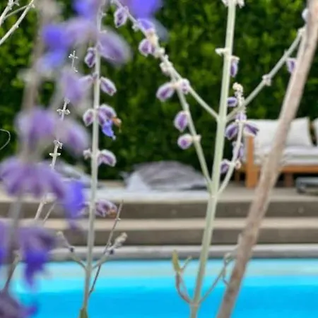 Apartment With Private Pool & Jacuzzi Velddriel