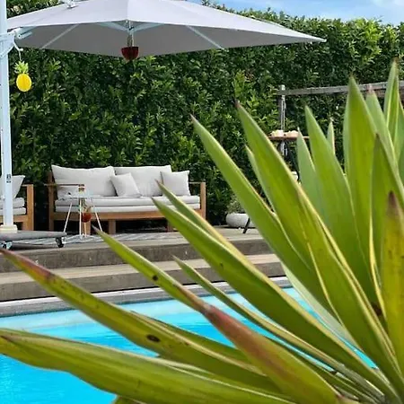 With Private Pool & Jacuzzi Apartment Velddriel