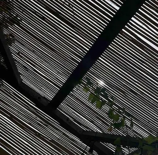 Daire With Private Pool & Jacuzzi