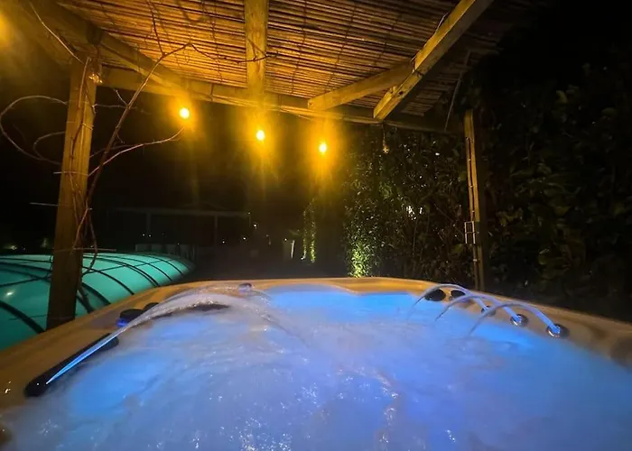 With Private Pool & Jacuzzi Velddriel