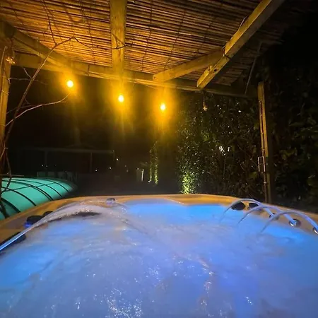 With Private Pool & Jacuzzi Velddriel