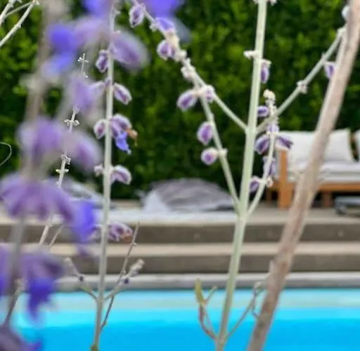 Apartamento With Private Pool & Jacuzzi Velddriel